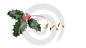 A sprig, three leaves, of green holly and red berries and gold ribbon