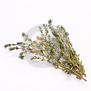 Sprig of Thyme