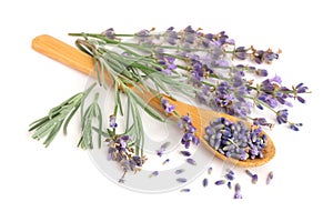 Sprigs of fresh lavender and dried in spoon on white background