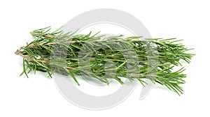 Sprigs fresh rosemary