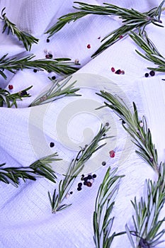 Sprigs of fresh rosemary with peppercorns on a white towel background.