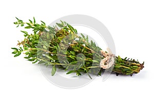 Sprigs of fresh thyme, isolated on white background