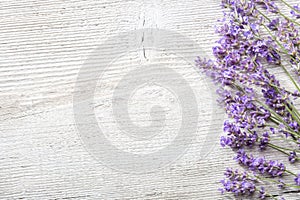 Sprigs of lavender on wooden background photo