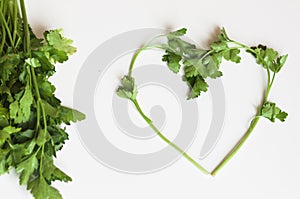 Sprigs of parsley in the form of heart