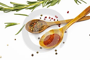 Sprigs of rosemary, spoons with spices isolated on a white background