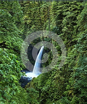 Spring of 2014 image of Metlako falls