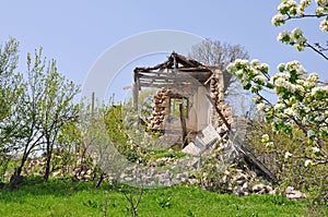 Spring in an abandoned, collapsed village