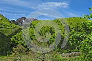 Spring in the Abruzzo park