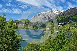 Spring in the Abruzzo park