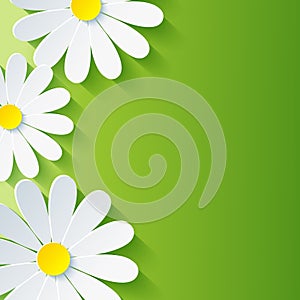 Spring abstract floral background, 3d flower chamo