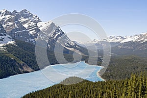 Spring aerial view of the Peyto lake - Banff national park, Canada