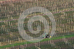 Spring Agricultural Rural Scene With Small Tractor And Rows Of Vineyards. A Green Tractor Cultivates The Vineyard Plantations. Mo