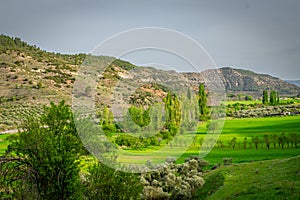 Spring in Alcarria. Guadalajara. Spain photo