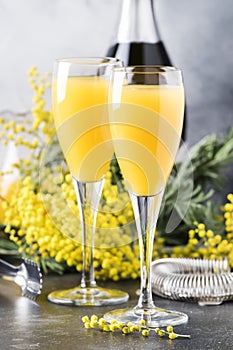 Spring alcohol cocktail mimosa with orange juice and cold dry champagne or sparkling wine in glasses, gray bar counter background