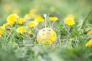 Spring Allergies - Sad ball in spring photo