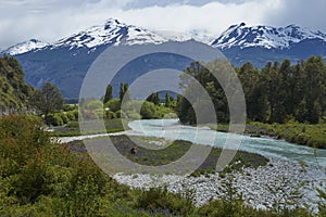 Spring along the Carretera Austral in northern Patagonia, Chile.