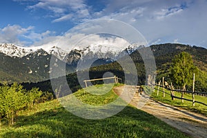 Spring alpine landscape with green fields and high snowy mountains,Bran,Transylvania