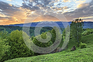 Spring alpine landscape with green fields and high snowy mountains,Bran,Transylvania