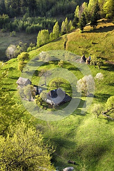 Spring alpine landscape with green fields, Magura village