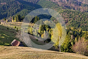 Spring alpine landscape with green fields in Transylvania, Romania