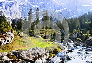 Spring alpine stream