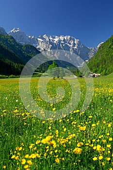Spring in alpine valley