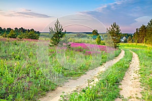 Spring amazing landscape with a blossoming meadow, road and farm