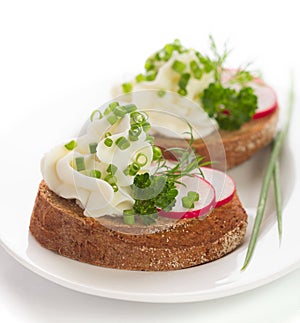 Spring appetizer with cream cheese, radish