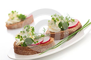 Spring appetizer with cream cheese, radish