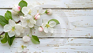 Spring apple blossoms flowering branch on wooden background