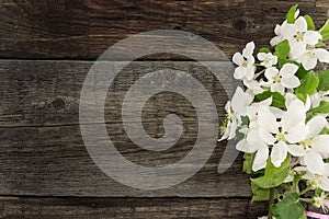 Spring apple tree blossom on rustic wooden background with space