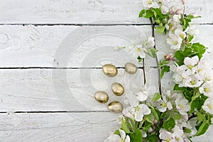 Spring apple tree blossom on rustic wooden background with space