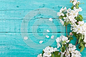 Spring apple tree blossom on turquoise rustic wooden background