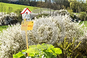 Spring April freshness