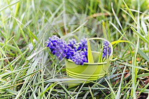 Spring April freshness