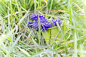 Spring April freshness