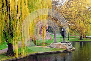 Spring Arrives at Boston Common