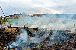 Spring arson of a grass in countryside