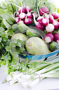 Spring assortment vegetables in the basket