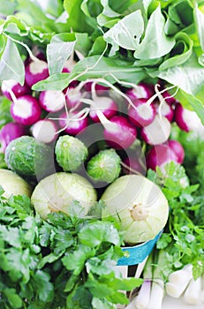 Spring assortment vegetables in the basket