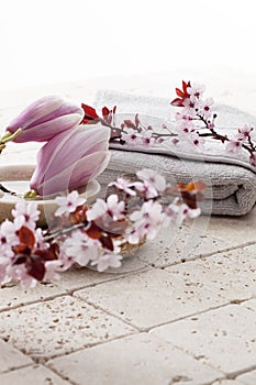 Spring atmosphere for body cleansing at home spa