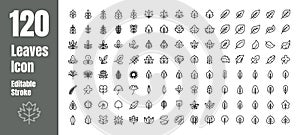 Spring and Autumn Leaf Outline line Icon Set. Minimal Style Illustration Vector. Editable Stroke