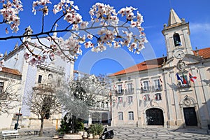 Spring in Aveiro, Portugal