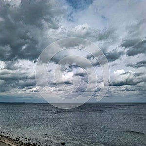 Spring awakening in the vicinity of Hamburg