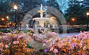 Spring Azaleas Forsyth Fountain Savannah Georgia