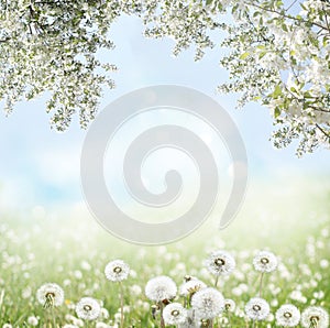 Spring background