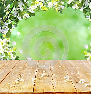 Spring background