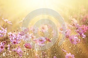 Spring background