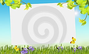Spring background