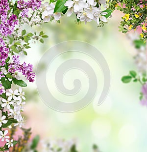 Spring background photo